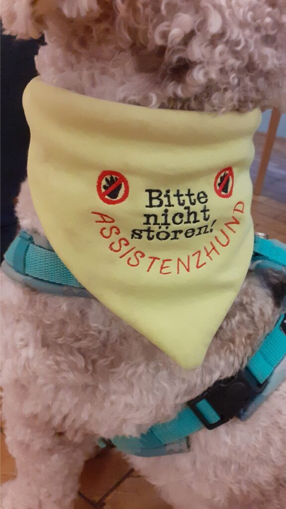 Ein Assistenzhung mit Halsbinde, auf der "Bitte nicht stören!" steht.